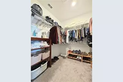 32105 Powderpuff Mimosa Drive, San Antonio, FL 33576 - Photo 11