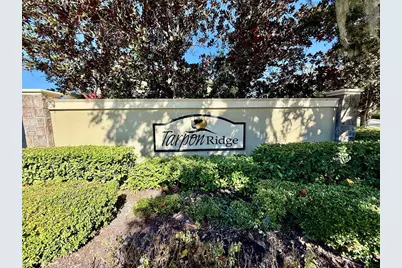 2524 Tranquility Drive, Palm Harbor, FL 34684 - Photo 3