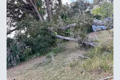 3402 Pearson Road, Valrico, FL 33596 - Photo 23