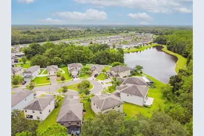 9908 Spice Bush Court, Tampa, FL 33647 - Photo 11