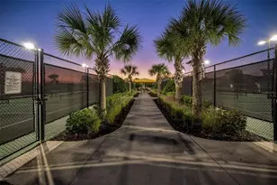 31763 Cabana Rye Ave, San Antonio, FL 33576 - Photo 73