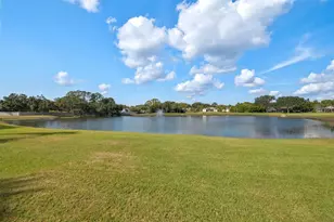 1337 Fishing Lake Dr, Odessa, FL 33556 - Photo 35