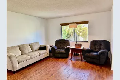 2459 Bay Berry Drive, Clearwater, FL 33763 - Photo 7