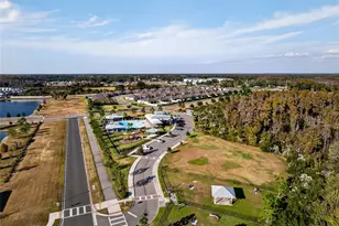 10196 Agave Ct, Land O Lakes, FL 34638 - Photo 75