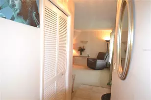 3276 Buckhorn Dr, Clearwater, FL 33761 - Photo 39