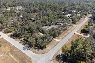 12201 Glen Hill Dr, Riverview, FL 33569 - Photo 39