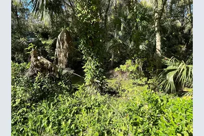 3785 Cr 405N, Lake Panasoffkee, FL 33538 - Photo 3