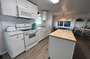 39248 US Hwy 19, Tarpon Springs, FL 34689 - Photo 3