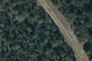 Tbd Bonita Dr, Chipley, FL 32428 - Photo 1