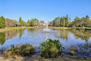 10545 Shady Falls Ct, Riverview, FL 33578 - Photo 31