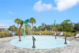 5320 Little Stream Ln, Wesley Chapel, FL 33545 - Photo 47