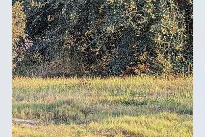 4381 Mammoth Grove Road, Lake Wales, FL 33898 - Photo 15