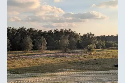 4381 Mammoth Grove Road, Lake Wales, FL 33898 - Photo 11