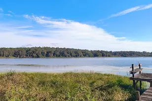 17466 Lake Iola Rd, Dade City, FL 33523 - Photo 13