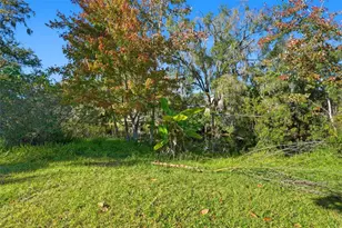 20751 Gardenia Dr, Land O Lakes, FL 34638 - Photo 41