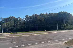 0 US Hwy 19 N, Palm Harbor, FL 34684 - Photo 1