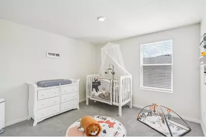 11637 Saw Palmetto Lane, Riverview, FL 33569 - Photo 17