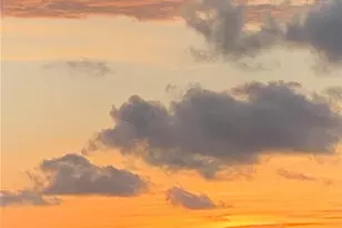 345 Bayshore Blvd, Tampa, FL 33606 - Photo 5