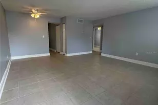 12401 Hibiscus Oak Pl, Tampa, FL 33612 - Photo 3