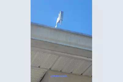 7238 Steer Blade Drive, Zephyrhills, FL 33541 - Photo 25