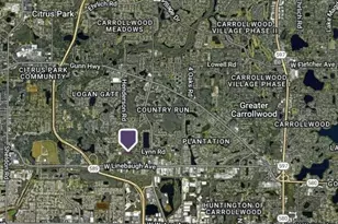 6318 Lynn Rd, Tampa, FL 33625 - Photo 7