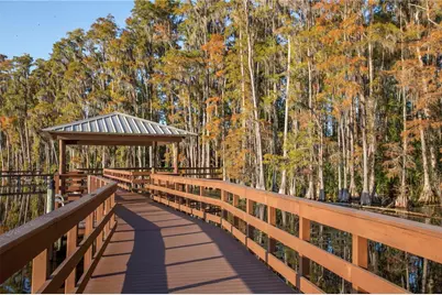 5703 Golden Owl Loop, Land O Lakes, FL 34638 - Photo 59