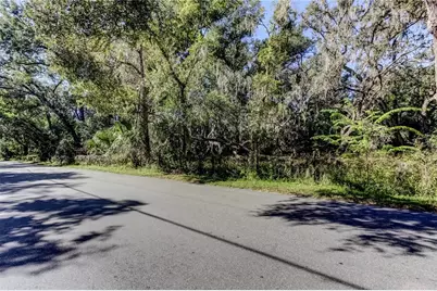 7329 20th Street, Zephyrhills, FL 33540 - Photo 5