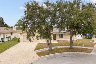 254 Timberview Dr, Safety Harbor, FL 34695 - Photo 35