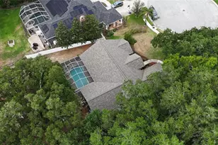 3042 Colonial Ridge Dr, Brandon, FL 33511 - Photo 87