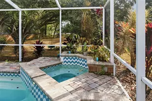 3042 Colonial Ridge Dr, Brandon, FL 33511 - Photo 59