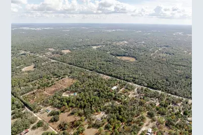 12301 Denton Avenue, Hudson, FL 34667 - Photo 17