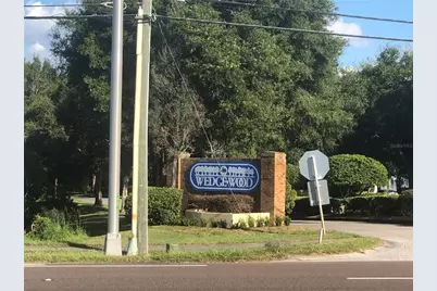 2721 5th Court, Palm Harbor, FL 34684 - Photo 33