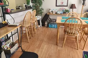 2897 Thaxton Dr, Palm Harbor, FL 34684 - Photo 7