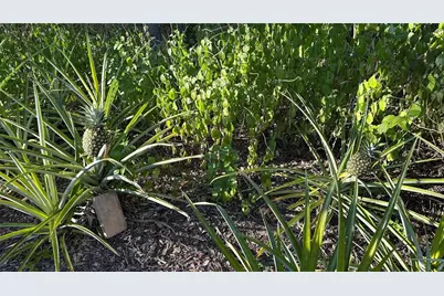 4725 S Trent Terrace, Homosassa, FL 34446 - Photo 31