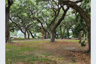 37113 Lois Avenue, Zephyrhills, FL 33542 - Photo 43