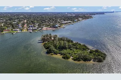 115 Buena Vista Drive S, Dunedin, FL 34698 - Photo 77