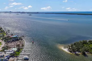 115 Buena Vista Dr S, Dunedin, FL 34698 - Photo 79