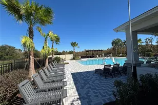 17481 Spanish Oak Loop, Land O Lakes, FL 34638 - Photo 47