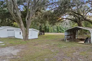 4905 Nesmith Rd, Plant City, FL 33567 - Photo 3