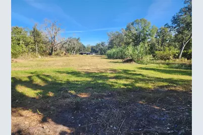 2102 Sydney Dover Road, Dover, FL 33527 - Photo 5