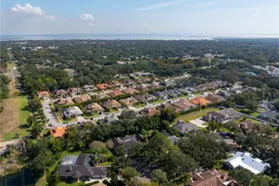 2166 Scarlet Oaks St, Clearwater, FL 33759 - Photo 43