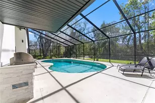 4520 Pine Hollow Dr, Tampa, FL 33624 - Photo 35