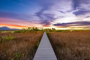 1044 Riverside Ridge Rd, Tarpon Springs, FL 34688 - Photo 69