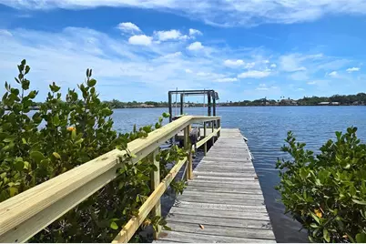302 Whitcomb Boulevard, Tarpon Springs, FL 34689 - Photo 43