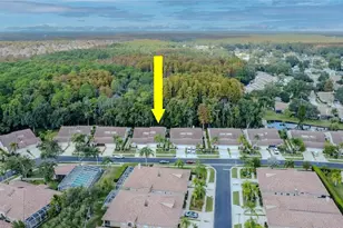 3825 Darston St, Palm Harbor, FL 34685 - Photo 43