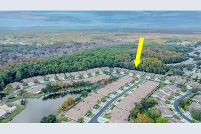 3825 Darston Street, Palm Harbor, FL 34685 - Photo 49