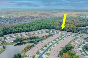 3825 Darston St, Palm Harbor, FL 34685 - Photo 49