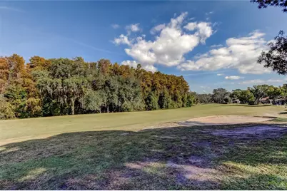 13428 Norman Circle, Hudson, FL 34669 - Photo 39