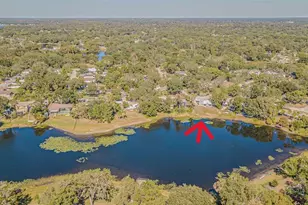 12510 Forest Hills Dr, Tampa, FL 33612 - Photo 55