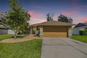 23526 Pine Lake St, Land O Lakes, FL 34639 - Photo 1